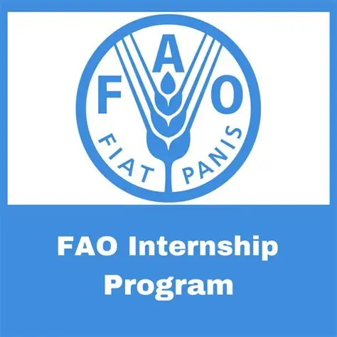 FAO Virtual Internship Programme 2026. Apply Now!