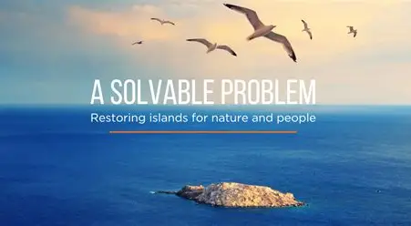 Get Paid to Live on a Private Island: Conservation Jobs You Didn’t Know Exist